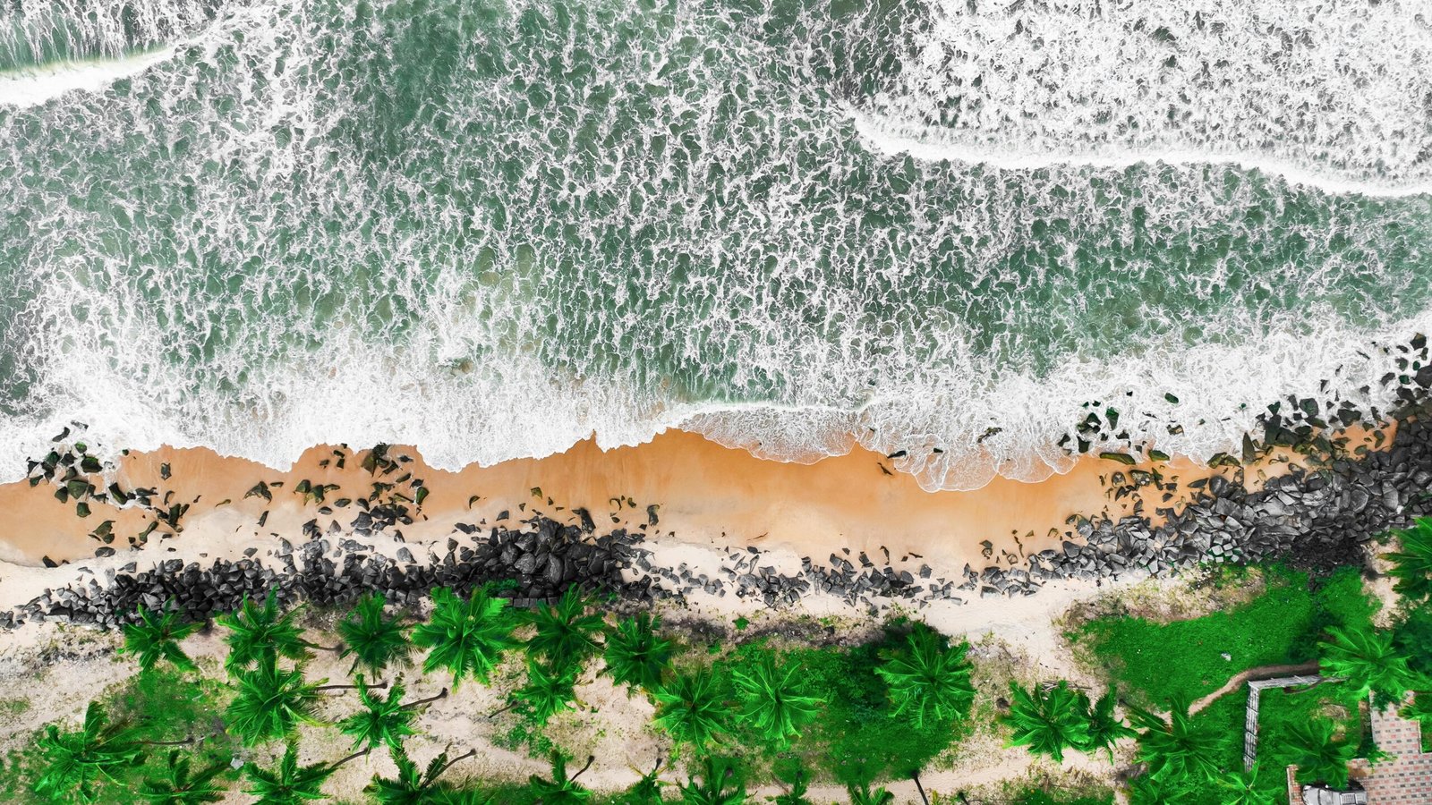 Stunning aerial view of Udupi's tropical beach with lush green palms and crashing waves.